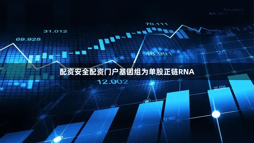 配资安全配资门户基因组为单股正链RNA