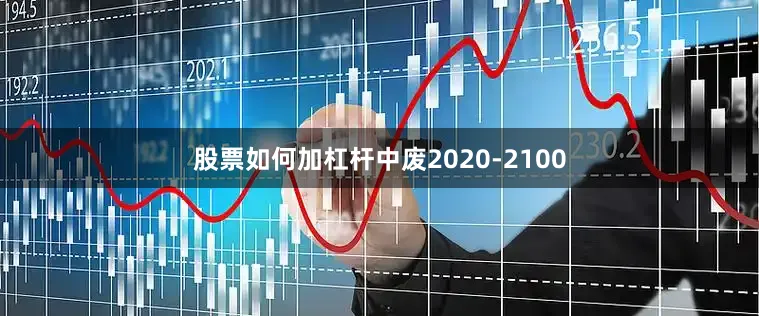 股票如何加杠杆中废2020-2100