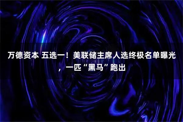 万德资本 五选一！美联储主席人选终极名单曝光，一匹“黑马”跑出