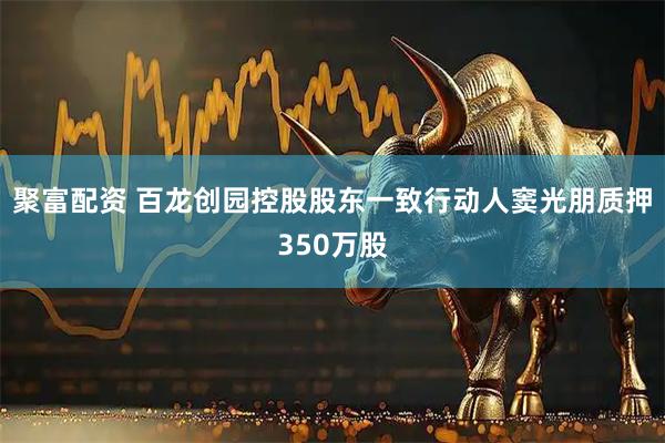 聚富配资 百龙创园控股股东一致行动人窦光朋质押350万股
