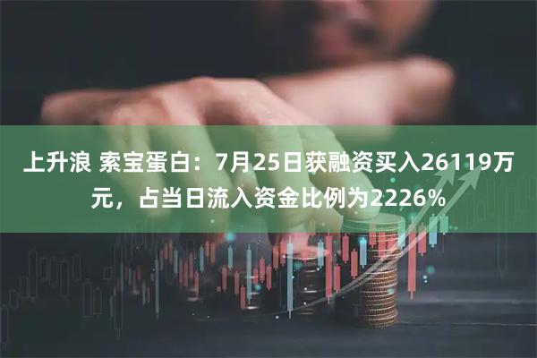上升浪 索宝蛋白：7月25日获融资买入26119万元，占当日流入资金比例为2226%