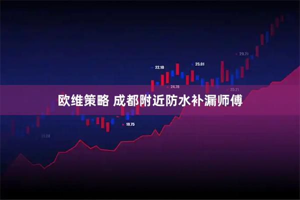 欧维策略 成都附近防水补漏师傅