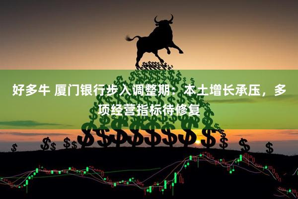 好多牛 厦门银行步入调整期：本土增长承压，多项经营指标待修复